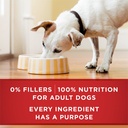 purina-one-classic-ground-for-adult-dogs-chicken-and-brown-rice-13-oz-cans-12-pack-06-e74a87568bb38dfc912b612cd180a28a.jpg
