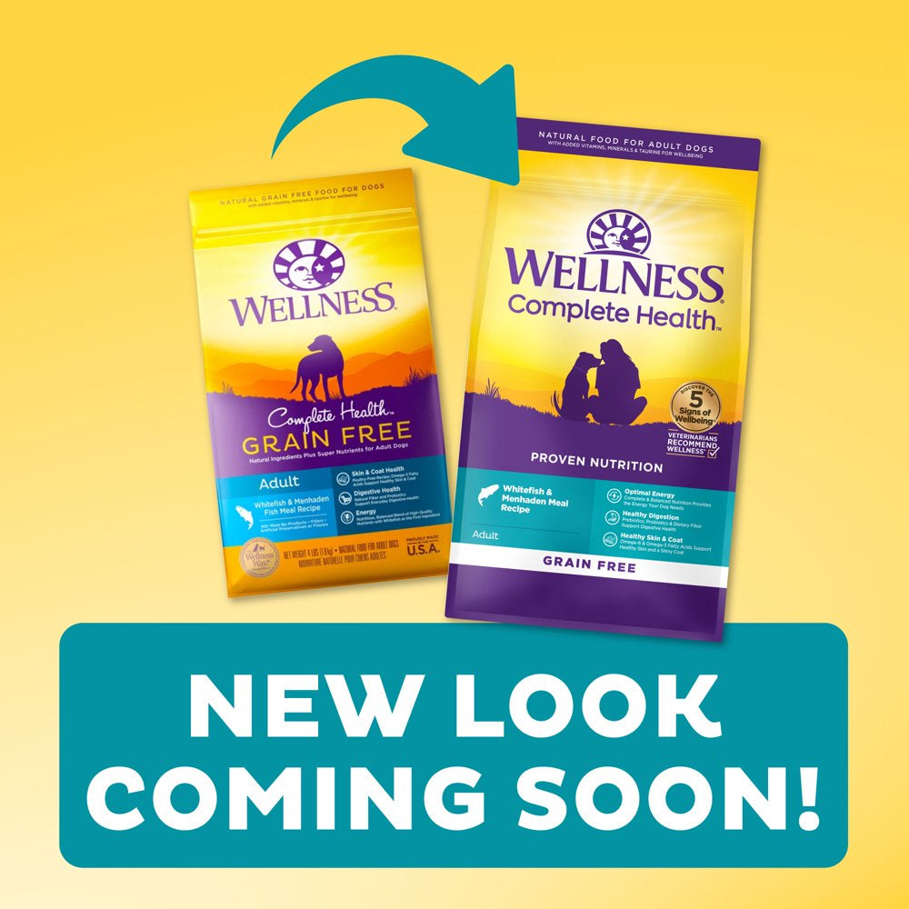 wellness-complete-health-natural-grain-free-dry-dog-food-whitefish-24-pound-bag-04-c67ce7dd301b36fc91726a85276d2167.jpg