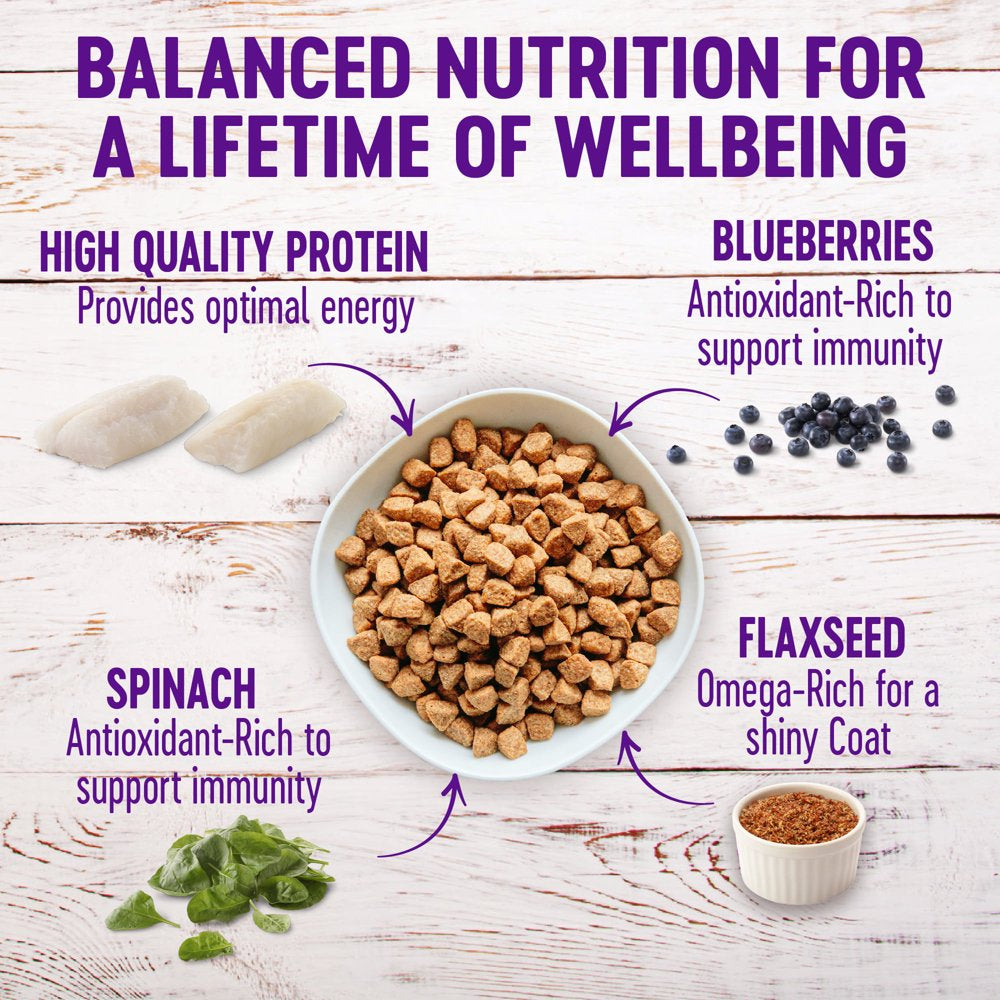 wellness-complete-health-natural-grain-free-dry-dog-food-whitefish-24-pound-bag-05-d213cf9394584fecb651ff2b4315a379.jpg