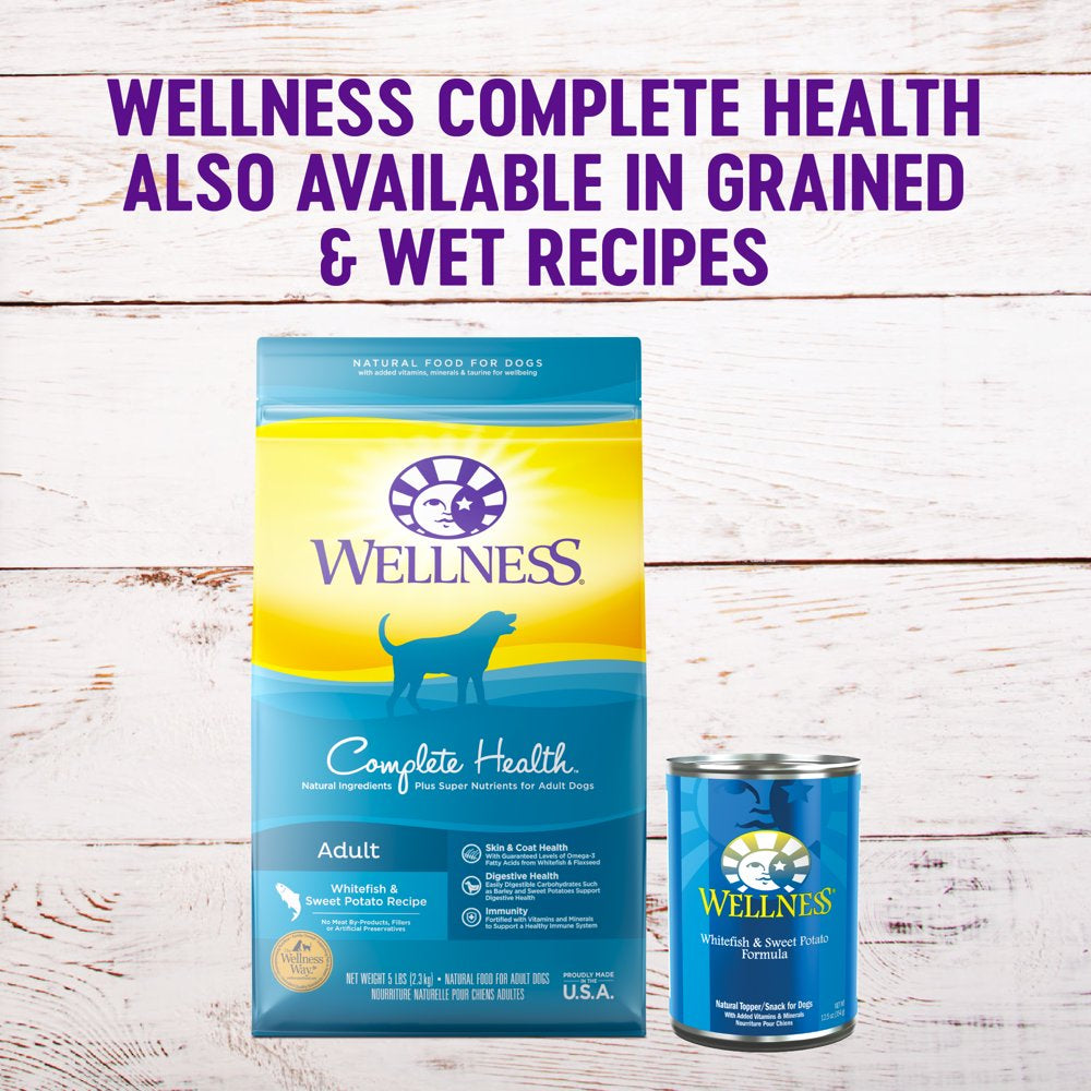wellness-complete-health-natural-grain-free-dry-dog-food-whitefish-24-pound-bag-09-f0d69de0415842a33722f6e89c5bf530.jpg