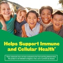 l-il-critters-immune-c-daily-gummy-supplement-vitamin-for-kids-for-vitamin-c-d-and-zinc-for-immune-support-orange-lemon-and-cherry-flavors-60-gummies-03-657a569f1f2e941a6be43910a403c62a.jpg