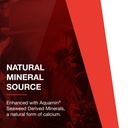 protocol-joint-uc-joint-and-immune-support-collagen-type-2-seaweed-minerals-60-veg-caps-05-ceb4f63e812d2da5a62bf75f4610e343.jpg