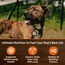 wellness-core-natural-wet-grain-free-canned-dog-food-turkey-chicken-12-5-ounce-can-pack-of-12-02-4d960d7114e004312bcd92b4ed345890.jpg