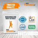 bulksupplements-com-marshmallow-root-extract-powder-lung-support-supplement-marshmallow-root-powder-1-kilogram-04-6119c279f62e69e94472a378b1f44ba0.jpg