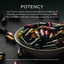 gaia-herbs-rhodiola-rosea-120-vegan-liquid-phyto-caps-60-day-supply-02-5429b8ea97c1f40d871f05b85cb7f5b2.jpg
