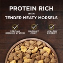 purina-one-grain-free-natural-high-protein-dry-dog-food-smartblend-true-instinct-real-chicken-12-5-lb-bag-04-5e8e0d0fd2c0703323e9f6b23de5af94.jpg