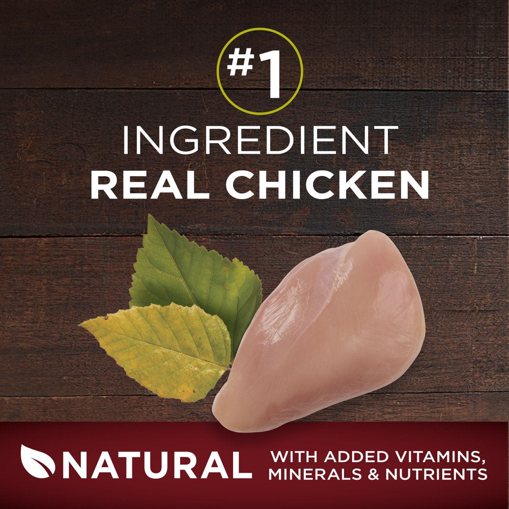 purina-one-grain-free-natural-high-protein-dry-dog-food-smartblend-true-instinct-real-chicken-12-5-lb-bag-07-9ea78c5231c98ce61613cbd17938901f.jpg