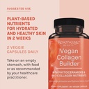 reserveage-nutrition-collagen-plant-based-1-each-60-vegetarian-capsules-05-4153f2f821fae78e1897d1c9a2cb3be0.jpg