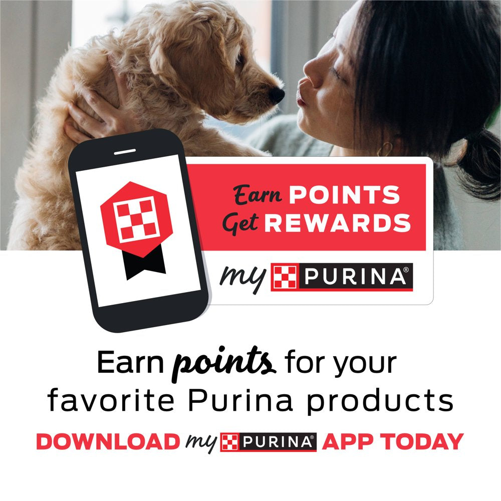 purina-beneful-wet-dog-food-for-adult-dogs-high-protein-gravy-chopped-blends-chicken-10-oz-tub-02-6aed5502d80f9bdbcdc97ad350cc7923_43a9cec8-747a-491c-b30a-d2a4f83f8f99.jpg