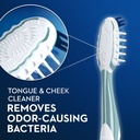 oral-b-crossaction-all-in-one-toothbrushes-deep-plaque-removal-medium-2-count-05-be046246c180a37de8afb2e1dc5c4024.jpg