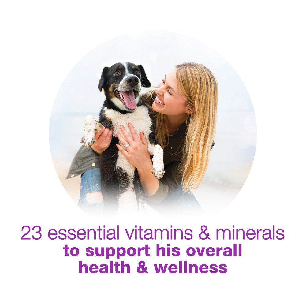 purina-beneful-wet-dog-food-for-adult-dogs-high-protein-gravy-chopped-blends-chicken-10-oz-tub-06-e124cf6e07266c8826543394d3c5871d.jpg