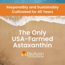 bioastin-supreme-hawaiian-astaxanthin-6-mg-60-softgels-05-c11b4a92f874e66dc5152ccd8f61362e.jpg