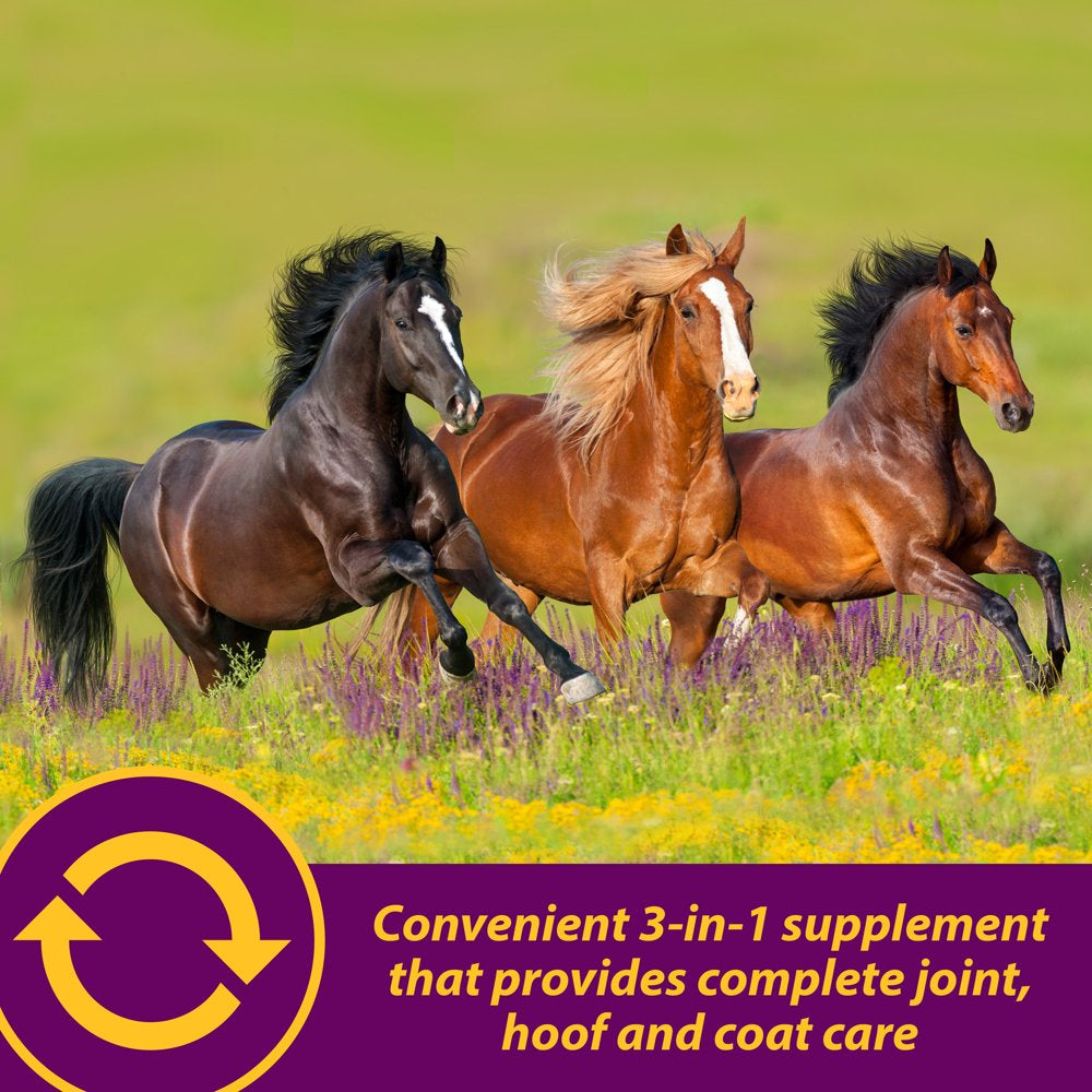 horse-health-joint-combo-hoof-coat-3-75-pounds-30-day-supply-03-9b1c0884cd3bf32c8465506b2c126f8c.jpg