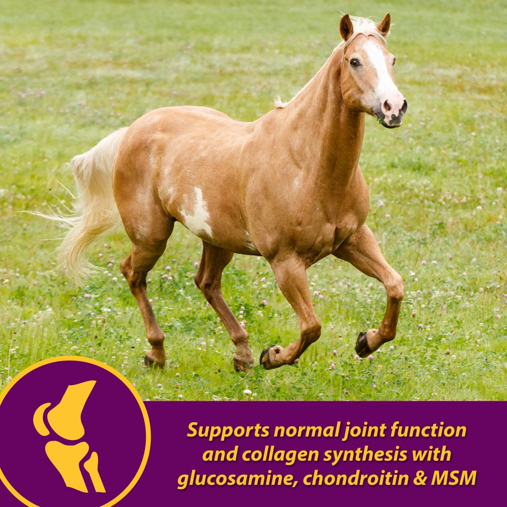 horse-health-joint-combo-hoof-coat-3-75-pounds-30-day-supply-04-3b8383b4634227bf0b077162d8fbb11e.jpg