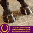 horse-health-joint-combo-hoof-coat-3-75-pounds-30-day-supply-05-8eb377ef5d9520b55007af392c0bc0a6.jpg