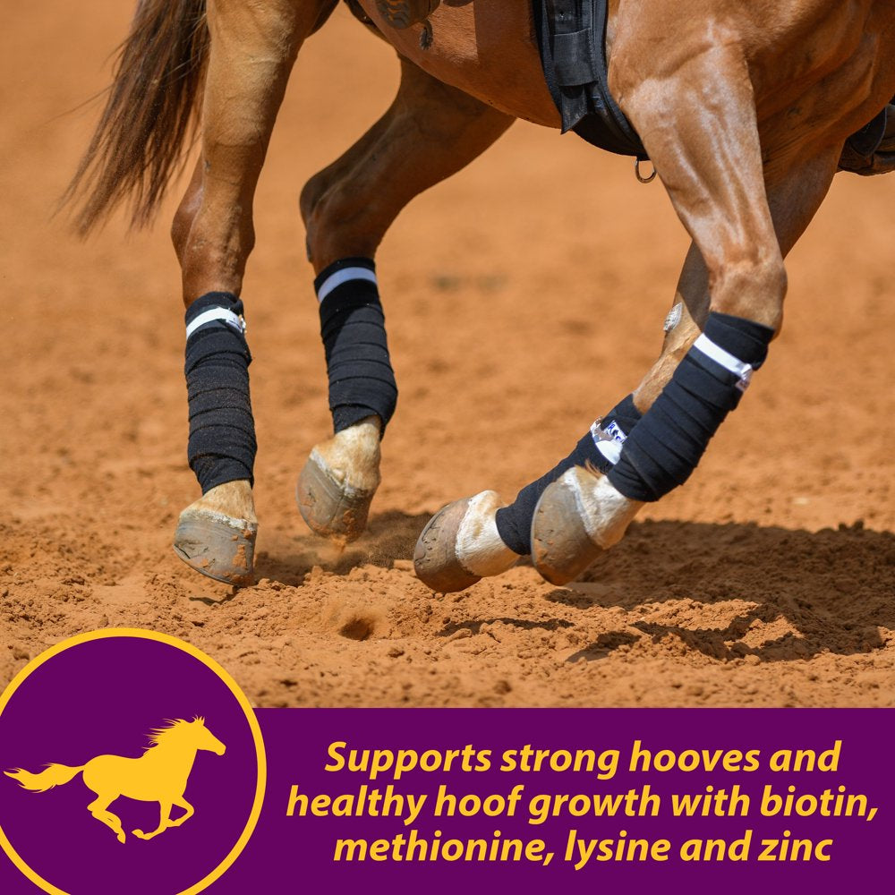 horse-health-joint-combo-hoof-coat-3-75-pounds-30-day-supply-06-65fc9f70274b605f82fb9febf365f1f6.jpg