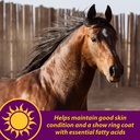 horse-health-joint-combo-hoof-coat-3-75-pounds-30-day-supply-07-6d1441a470bf7a9ae6b9f287c66424b6.jpg