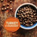 wellness-core-natural-grain-free-dry-dog-food-small-breed-12-pound-bag-05-d6557fdc19c4ec816a7f5fc28d21d37f.jpg