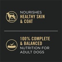 purina-pro-plan-wet-dog-food-for-adult-dogs-complete-essentials-soft-beef-rice-13-oz-cans-12-pack-03-70edacc2485666c8338f0b2afc48ccc9.jpg