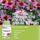 solaray-echinacea-purpurea-angustifolia-root-460-mg-healthy-immune-respiratory-function-support-180-vegcaps-02-c5b41fc2ce710f8d87954bbe6d1ce809.jpg
