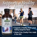 co-q10-liquid-4oz-03-745d4888f9d6d1bbec21f05b895628d8.jpg