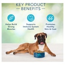 blue-buffalo-freedom-lamb-dry-dog-food-for-adult-dogs-grain-free-24-lb-bag-04-a05c5758014ac17b902efe5851309362.jpg
