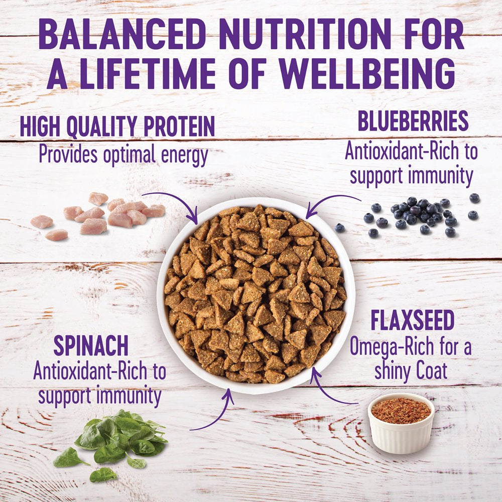wellness-complete-health-natural-dry-small-breed-dog-food-turkey-oatmeal-12-pound-bag-05-defb597319383de26d5f60f42d0005f8_145090bb-6f67-48d5-8fa7-ed444ceba773.jpg