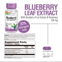 solaray-blueberry-leaf-extract-100-mg-healthy-cardiovascular-blood-sugar-balance-support-60-vegcaps-03-31c40655c7f3e1f33df5a1cccbd70507.jpg
