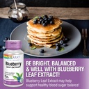 solaray-blueberry-leaf-extract-100-mg-healthy-cardiovascular-blood-sugar-balance-support-60-vegcaps-04-5a9f0baeb7e428fb277bf450ea27cb33.jpg