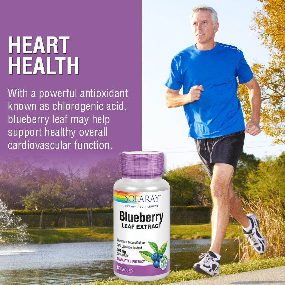 solaray-blueberry-leaf-extract-100-mg-healthy-cardiovascular-blood-sugar-balance-support-60-vegcaps-05-daeae4334123405b17312e92cec9e19c.jpg