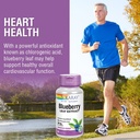 solaray-blueberry-leaf-extract-100-mg-healthy-cardiovascular-blood-sugar-balance-support-60-vegcaps-05-daeae4334123405b17312e92cec9e19c.jpg