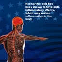 lifelinks-rosmarinic-acid-complex-120-capsules-antioxidant-anti-aging-gluten-free-non-gmo-made-in-the-usa-06-9b6269bb35389775a32b033d460b42e9.jpg