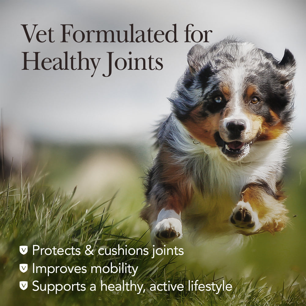nutri-vet-hip-and-joint-chewables-for-dogs-regular-strength-120-count-02-6293ba912411e7e59e031b2ff32d5a33.jpg