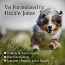 nutri-vet-hip-and-joint-chewables-for-dogs-regular-strength-120-count-02-6293ba912411e7e59e031b2ff32d5a33.jpg