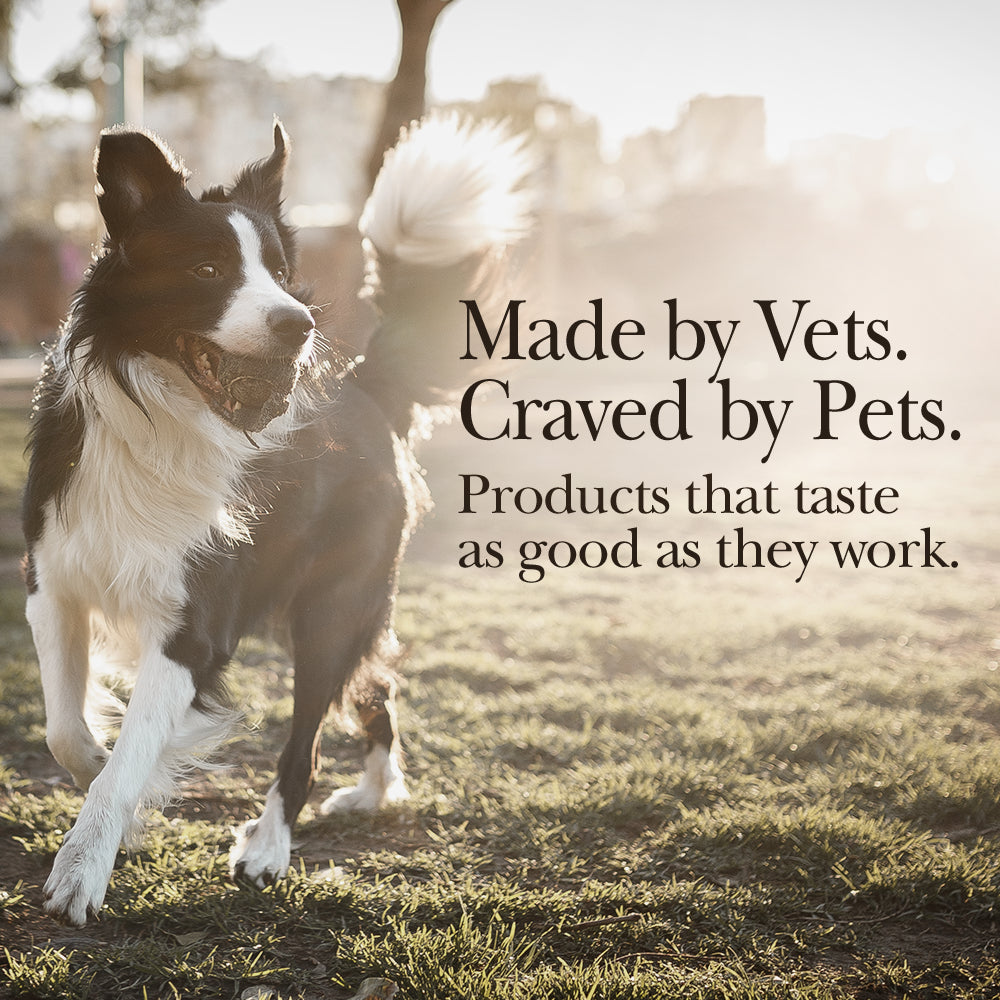 nutri-vet-hip-and-joint-chewables-for-dogs-regular-strength-120-count-05-d8e892f05e6fc8d03a8bf54f86d49407.jpg