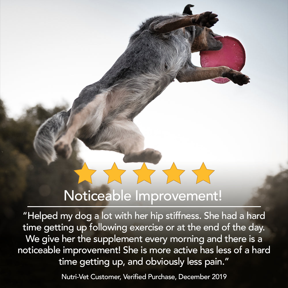 nutri-vet-hip-and-joint-chewables-for-dogs-regular-strength-120-count-06-dc8953f435a74af40e07195cadc63608.jpg