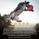 nutri-vet-hip-and-joint-chewables-for-dogs-regular-strength-120-count-06-dc8953f435a74af40e07195cadc63608.jpg
