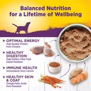 wellness-complete-health-natural-wet-canned-dog-food-chicken-sweet-potato-12-5-ounce-can-pack-of-12-05-3a156bb2d6bcef446994e15afdf4423f.jpg