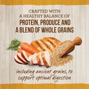 merrick-real-chicken-brown-rice-dry-dog-food-whole-grain-25-lb-bag-02-18cd96c1ede2cd844f6829294b5f0f21.jpg