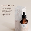 garden-organics-ginkgo-biloba-tincture-alcohol-free-extract-organic-ginkgo-biloba-ginkgo-biloba-dried-leaf-2x4-oz-04-c79182c21e876c13005a9c7ff4853eba.jpg
