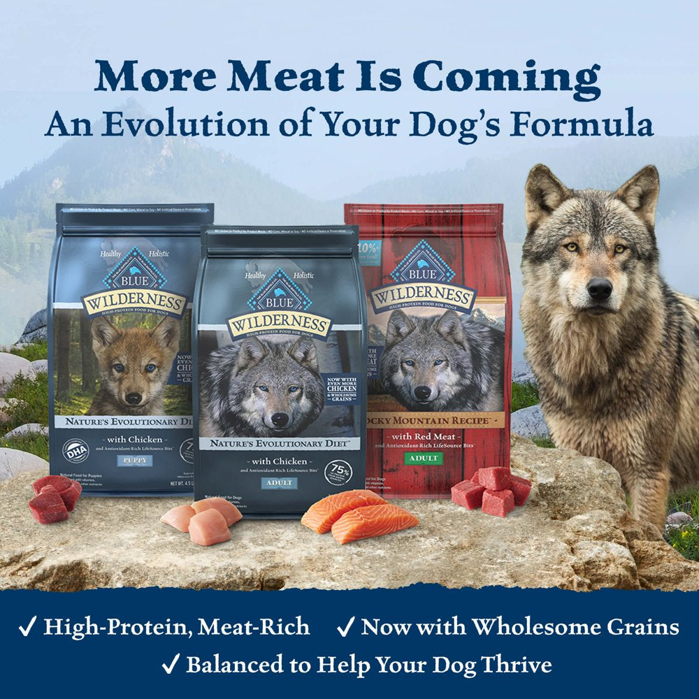 blue-buffalo-wilderness-rocky-mountain-recipe-high-protein-red-meat-dry-dog-food-for-adult-dogs-grain-free-22-lb-bag-02-d57c7449cdc18f6af7a9c90d2502d3f4.jpg
