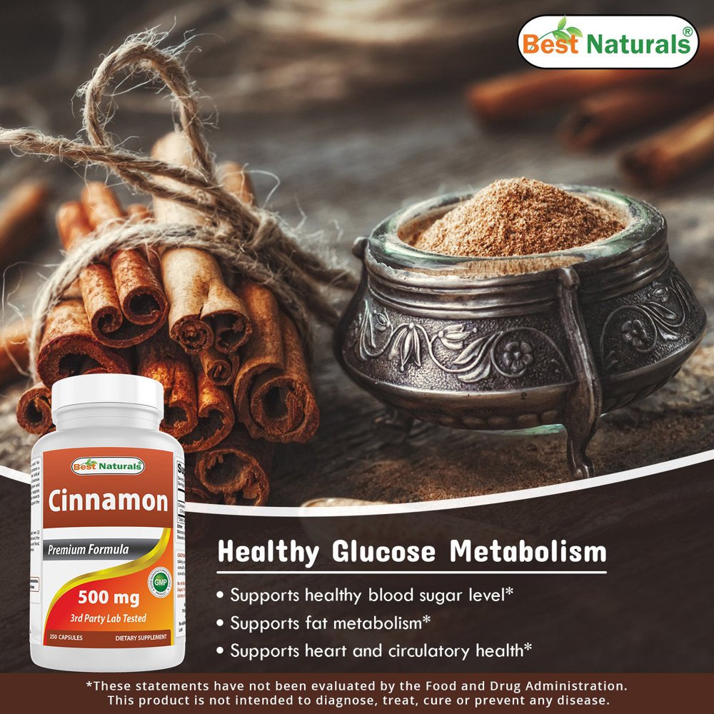 best-naturals-cinnamon-500-mg-250-capsules-04-afc4a5023439a11d6200d681c833c69d.jpg
