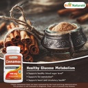 best-naturals-cinnamon-500-mg-250-capsules-04-afc4a5023439a11d6200d681c833c69d.jpg