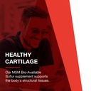 protocol-for-life-balance-msm-bio-available-sulfur-improved-absorption-formula-that-promotes-healthy-cartilage-and-connective-tissue-180-veg-capsules-03-678dfbddf91f7b4b8193e33eda988341.jpg