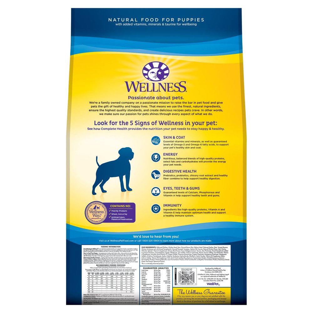 wellness-complete-health-natural-dry-large-breed-dog-food-chicken-rice-15-pound-bag-03-0d8d015dec80ad555345f8d4981ffb38.jpg