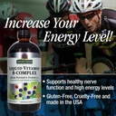 vitamin-b-complex-liquid-16oz-03-84c3162ba2fc4c94a4066004e415515e.jpg