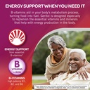 geritol-liquid-vitamin-and-iron-supplement-energy-support-contains-high-potency-b-vitamins-and-iron-pleasant-tasting-easy-to-swallow-no-artificial-sweeteners-non-gmo-12-oz-02-0523fb687f9d6a8139a21ac5dea0b46f.jpg