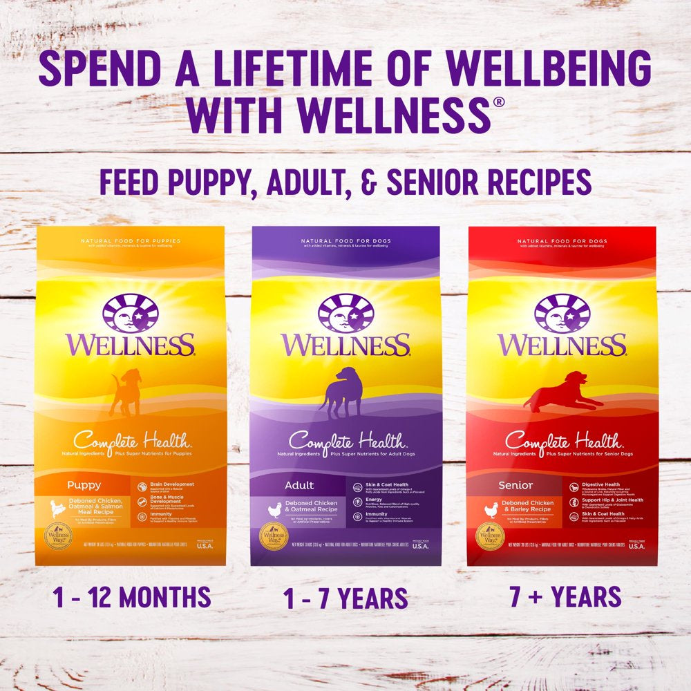 wellness-complete-health-natural-dry-small-breed-dog-food-turkey-oatmeal-4-pound-bag-09-a64c3e173d4a01b288f58792b1ac8297_ac564524-60a7-4b48-9875-b276820e27dd.jpg