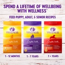 wellness-complete-health-natural-dry-small-breed-dog-food-turkey-oatmeal-4-pound-bag-09-a64c3e173d4a01b288f58792b1ac8297_ac564524-60a7-4b48-9875-b276820e27dd.jpg