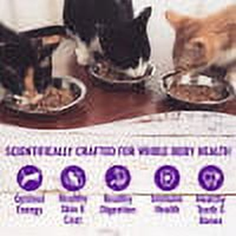 wellness-complete-health-natural-grain-free-wet-canned-cat-food-sliced-salmon-entree-3-ounce-can-pack-of-24-02-d82f16eaf650d2c1cba2895ffc24f3e6.jpg